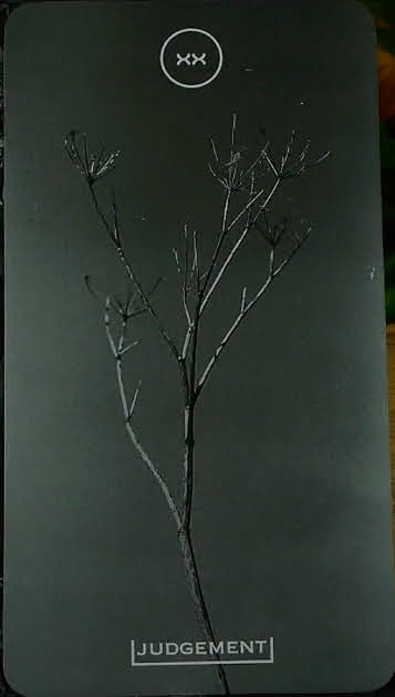 Savran Forest Tarot